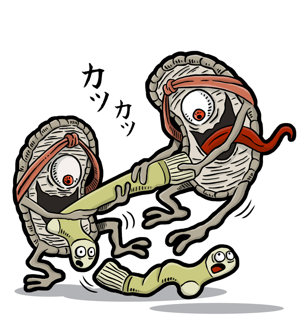BAKEZÕRI